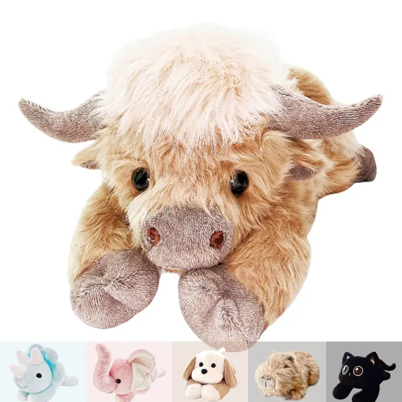 Highland Cow