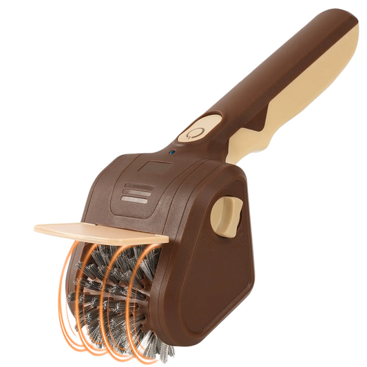 Brosse de nettoyage électrique pour barbecue